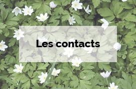 Les contacts - Infos pratiques