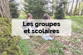 Les groupes et scolaires - Visites