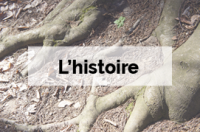 L'histoire - L'Arboretum