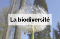La biodiversité - L'Arboretum