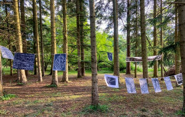 Nuit des forets 2024-Poema2