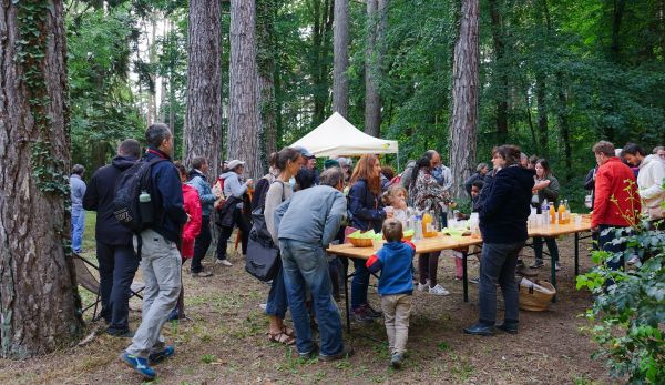 Nuit des forets 2024-groupe.jpg