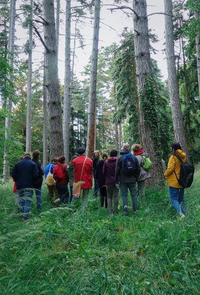 Nuit des forets 2024-inrae.jpg
