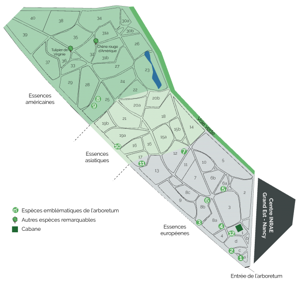 MAJ 10.2022 PLAN ARBORETUM PAGE COLLECTIONS