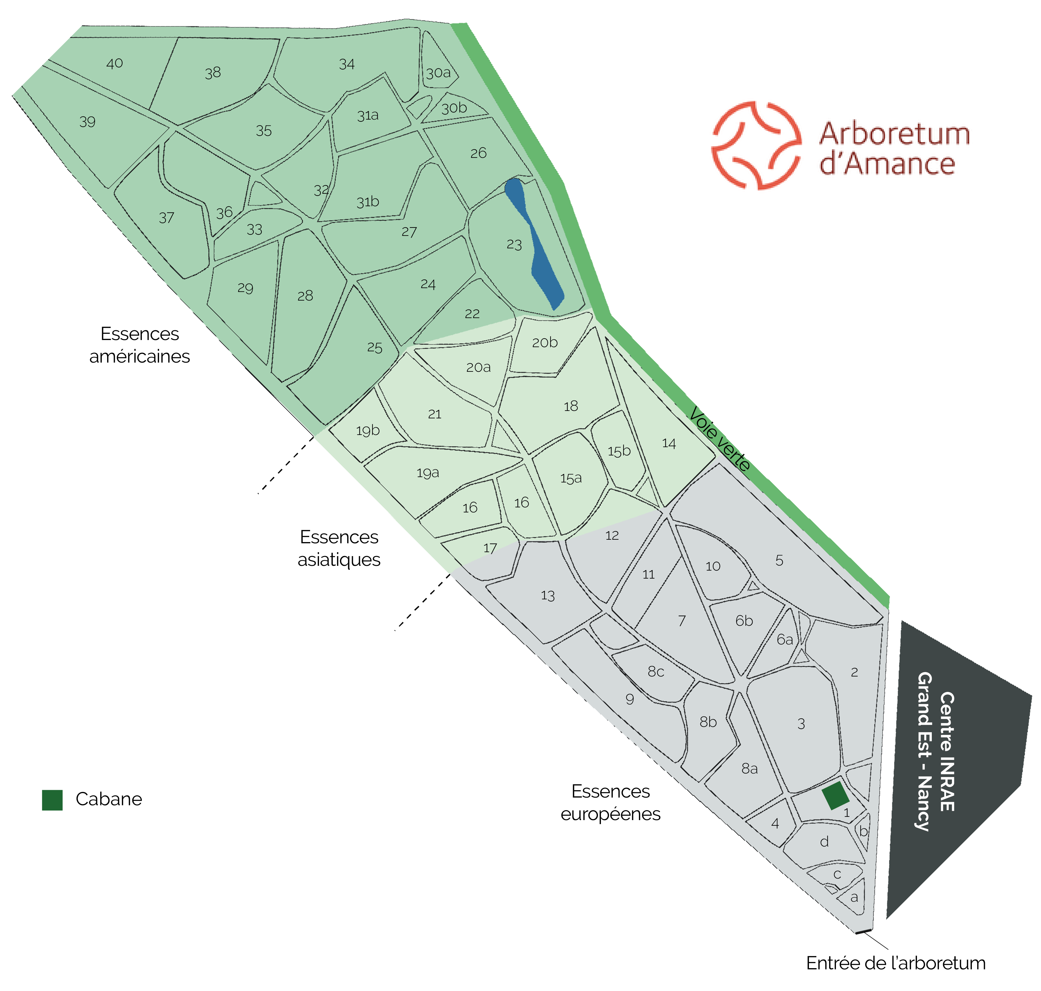 MAJ 10.2022 PLAN ARBORETUM PAGE PLAN DE L'ARBO